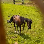 Bruval Eco Retreat Θέρετρο