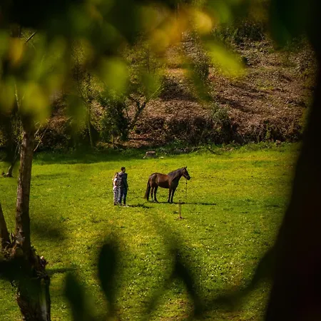 Bruval Eco Retreat * Sandim