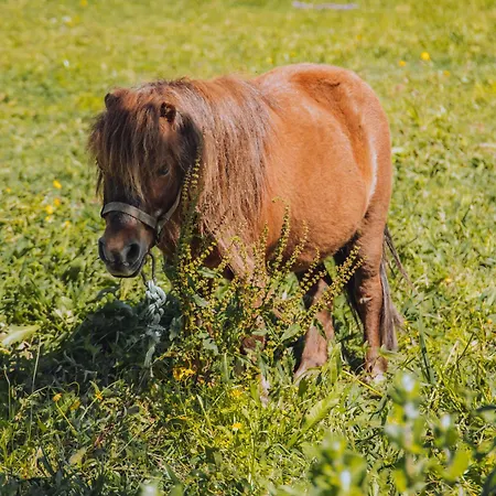 Θέρετρο Bruval Eco Retreat Sandim