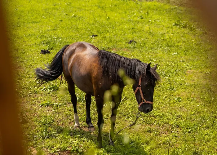 Bruval Eco Retreat Курортный комплекс