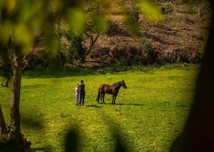 Bruval Eco Retreat * Sandim